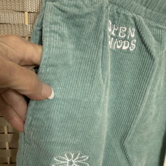 Pacsun ALIEN EMBROIDERED Corduroy Pull On Pants Men’s S Mint Green Slim Fit - Picture 6 of 11